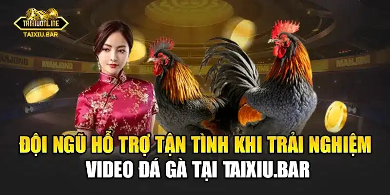 Đội ngũ hỗ trợ tận tình khi trải nghiệm video đá gà tại Taixiu