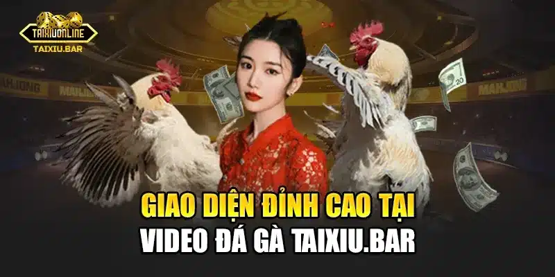 Giao diện đỉnh cao tại video đá gà Taixiu