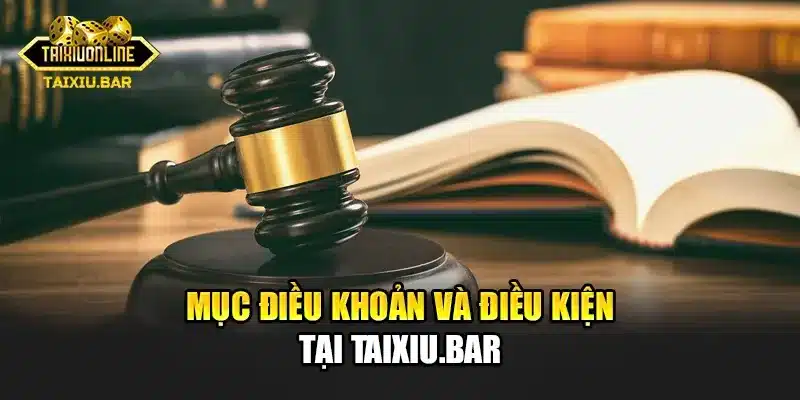 Mục điều khoản và điều kiện tại Taixiu