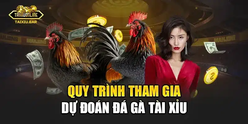 Quy trình tham gia dự đoán đá gà tài xỉu