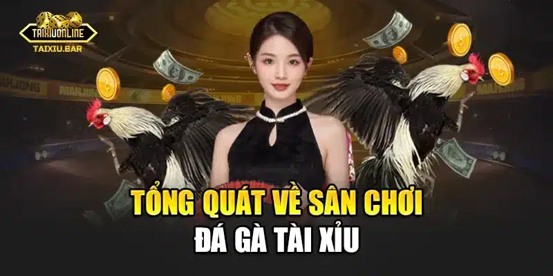 Tổng quát về sân chơi đá gà tài xỉu