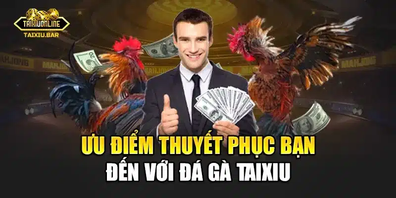 Ưu điểm thuyết phục bạn đến với đá gà tàu xỉu