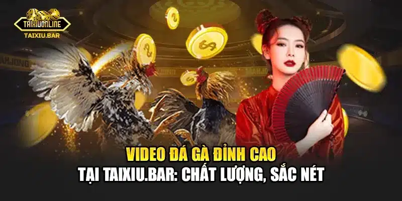 Video Đá Gà Đỉnh Cao Tại Taixiu.bar: Chất Lượng, Sắc Nét